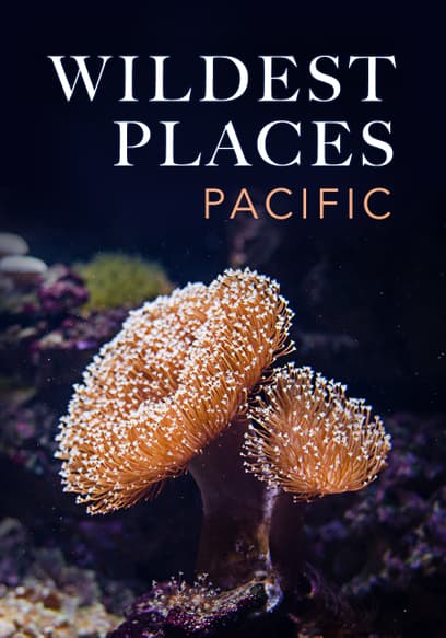 Wildest Places: Pacific