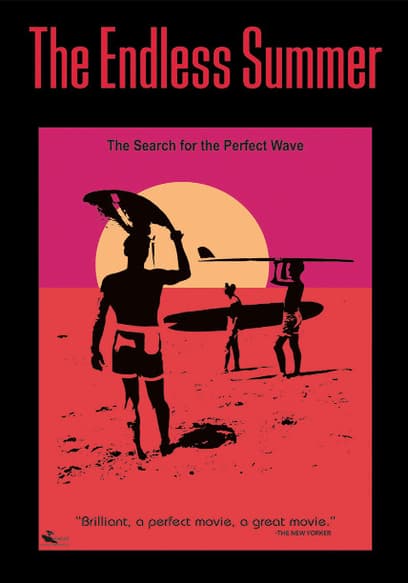 The Endless Summer: Digitally Remastered