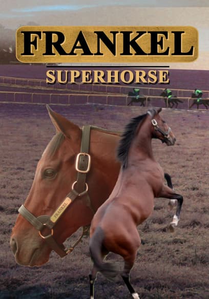 Frankel: Superhorse