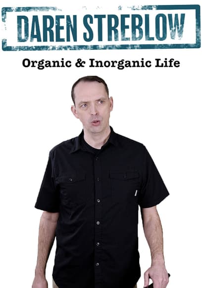 Daren Streblow: Organic & Inorganic Life