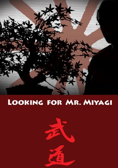 Looking for Mr. Miyagi