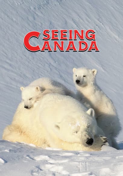 S02:E01 - Inuit Culture in Nunavut and Grizzly Bears in British Columbia