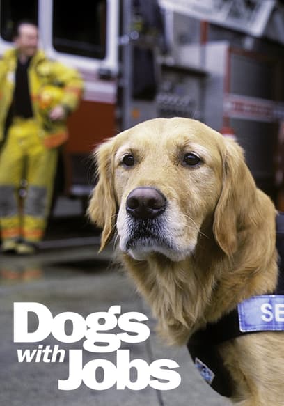 S01:E01 - Episode 1: Maggie: Service Dog & A.J. Pet Detective