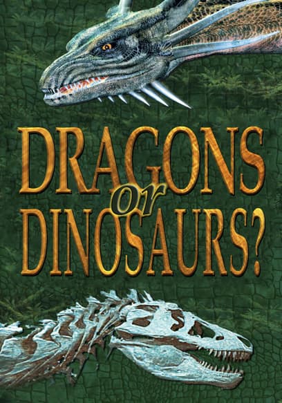 Dragons or Dinosaurs?