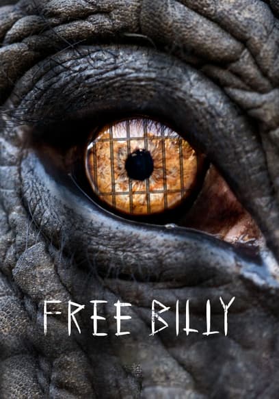Free Billy