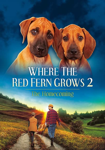 Where the Red Fern Grows (Pt. 2)