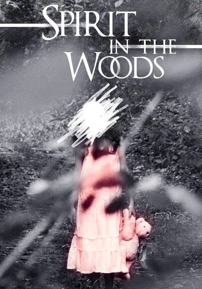 Spirit in the Woods