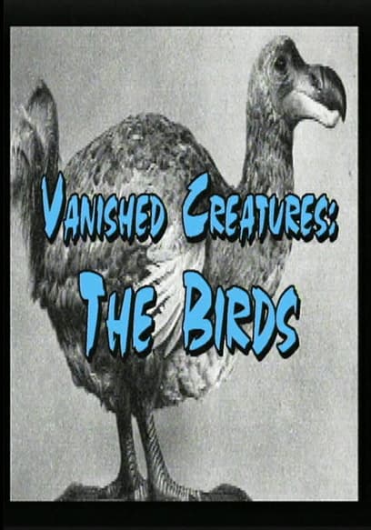 Vanished Creatures - The Birds
