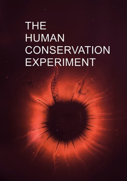 The Human Conservation Experiment