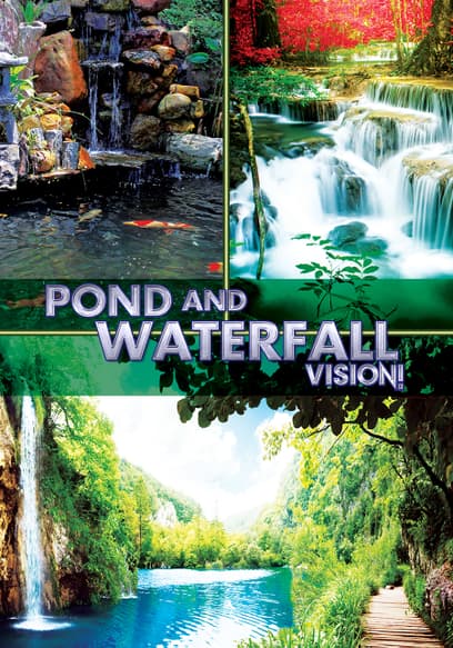 Pond and Waterfall Vision