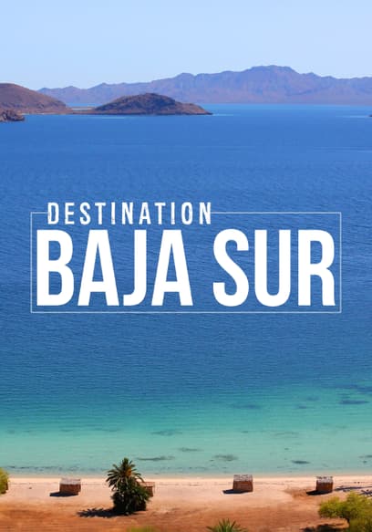 Destination Baja Sur