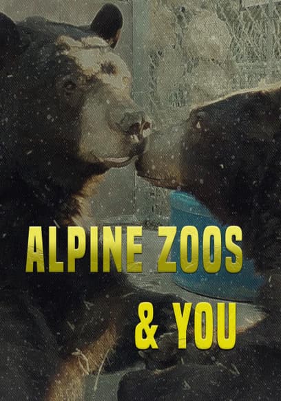 Alpine Zoos & You