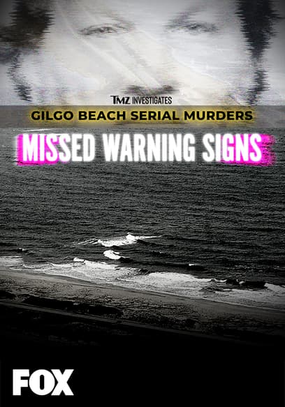 TMZ Investigates: Gilgo Beach Serial Murders: Missed Warning Signs