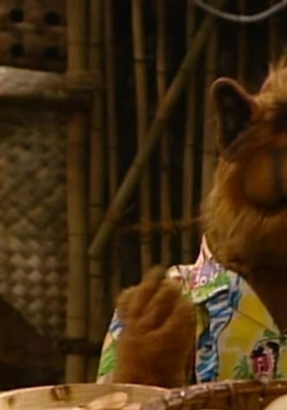 Watch ALF S02 E02 Somewhere Over The Rerun The Ballad Of Gilligan S