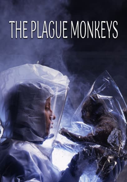 The Plague Monkeys