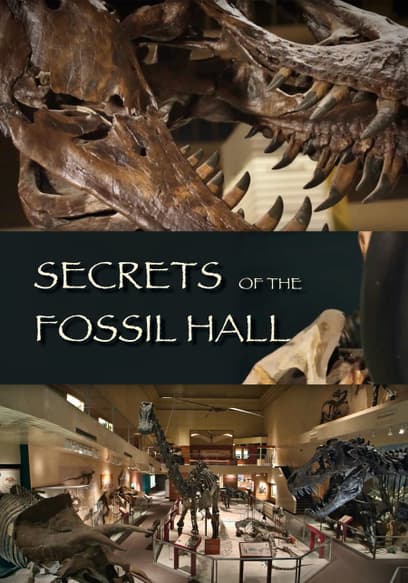 Secrets of the Fossil Hall