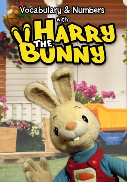 Vocabulary & Numbers with Harry the Bunny