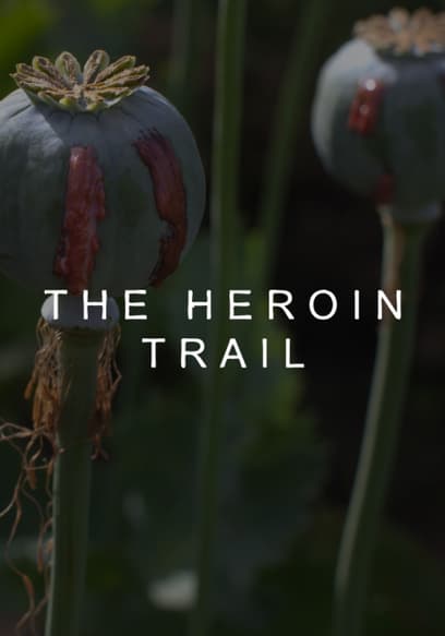 Heroin Trail