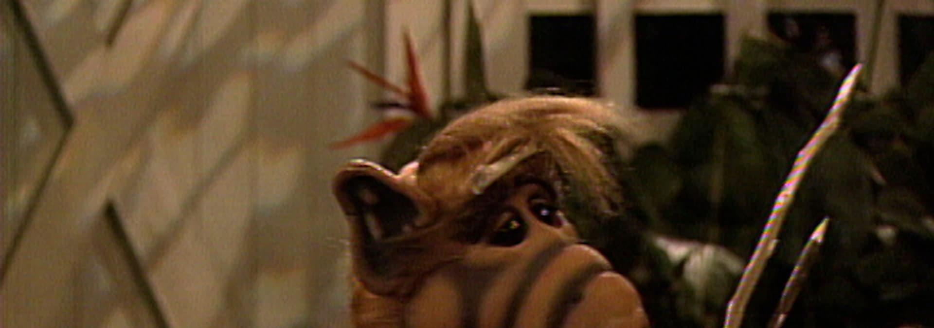 Watch Alf S E Hungry Like The Wolf Free Tv Shows Tubi