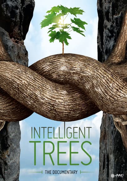 Intelligent Trees