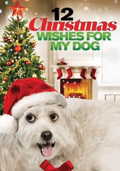 12 Christmas Wishes For My Dog