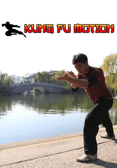 Kung Fu Motion