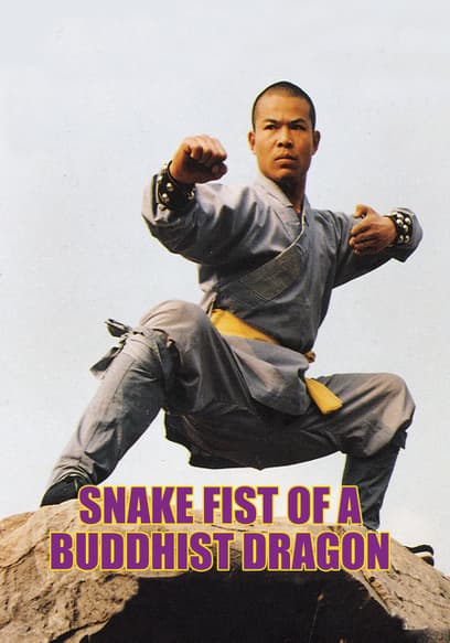 Snake Fist of a Buddhist Dragon