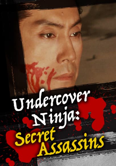 Undercover Ninja: Secret Assassins