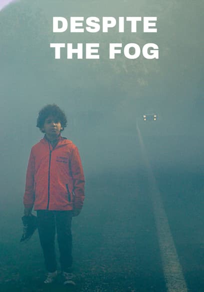 Despite the Fog