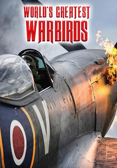 World's Greatest Warbirds