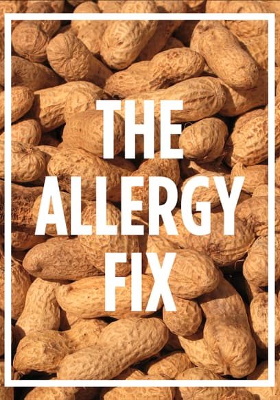The Allergy Fix