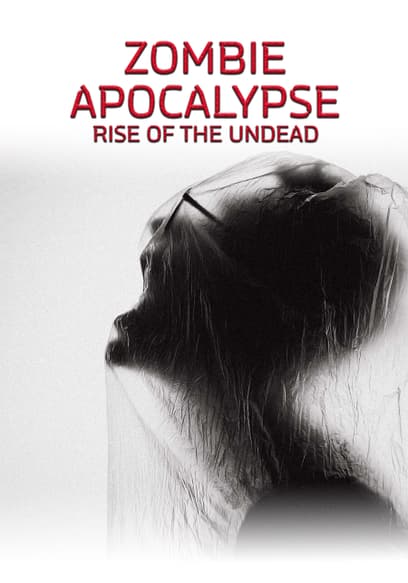 Zombie Apocalypse: Rise of the Undead