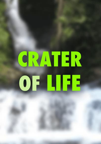 Crater of Life