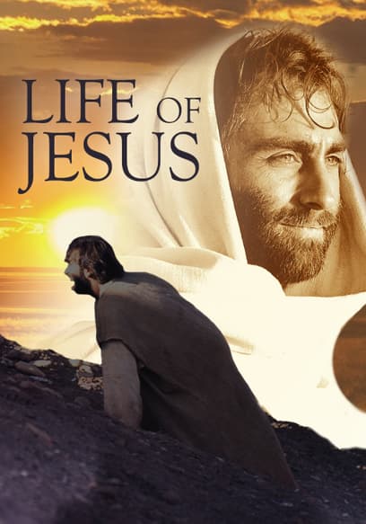 The Life of Jesus According to Matthew