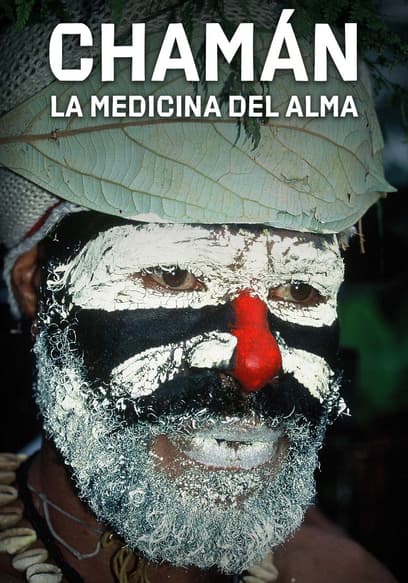 Chamán: La Medicina Del Alma