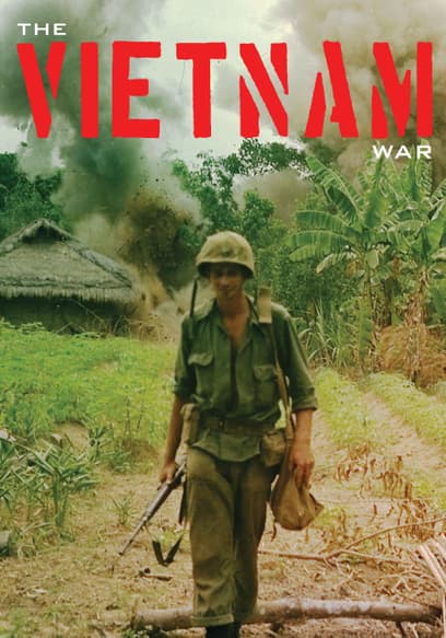 The Vietnam War Collection