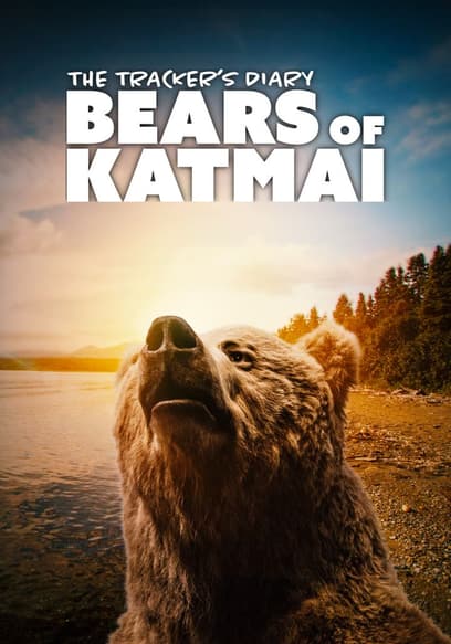 The Tracker's Diary: Bears of Katmai