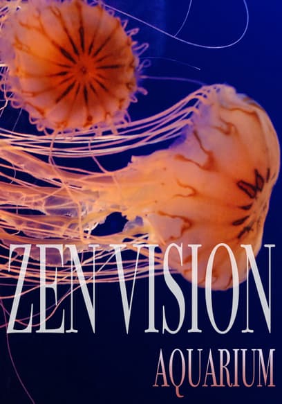 Zen Vision: Aquarium