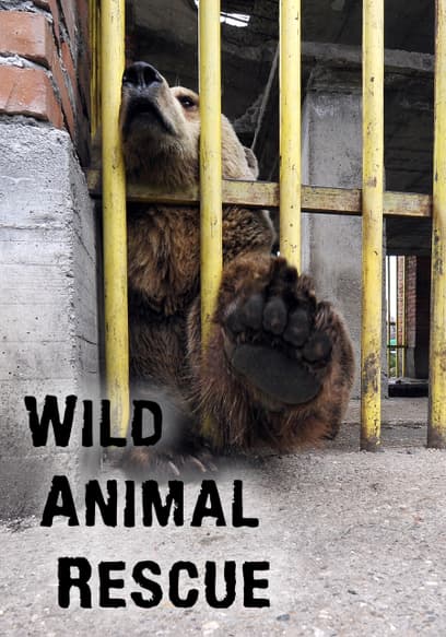 S01:E05 - Closing the Worst Zoo in the World