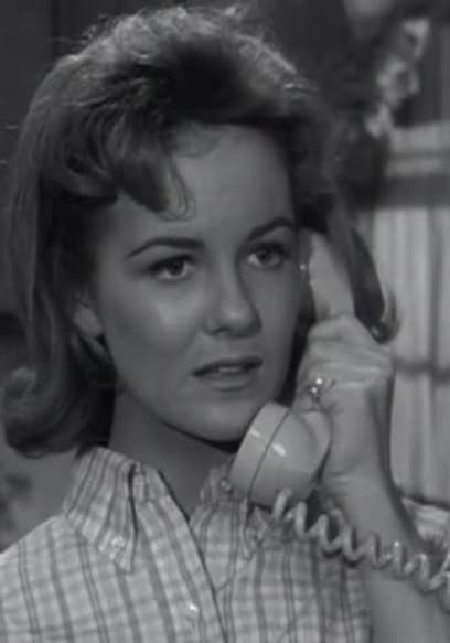 Watch The Donna Reed Show S04:E23 - The Golden Trap - Free TV Shows | Tubi