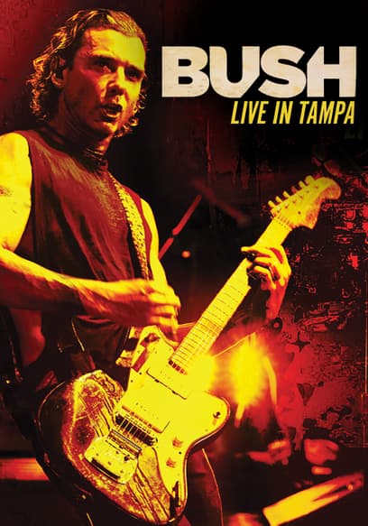 Bush: Live in Tampa
