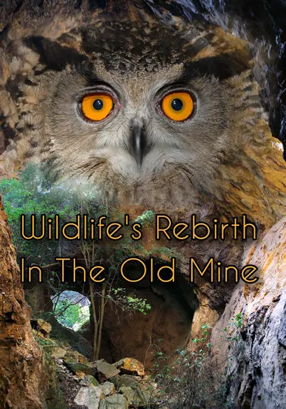 Wildlife's Rebirth in the Old Mine