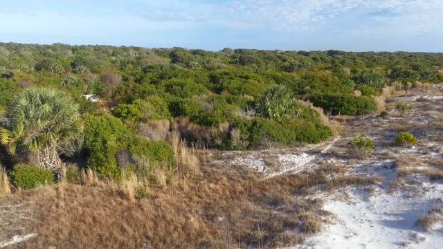 S01:E01 - Cumberland Island