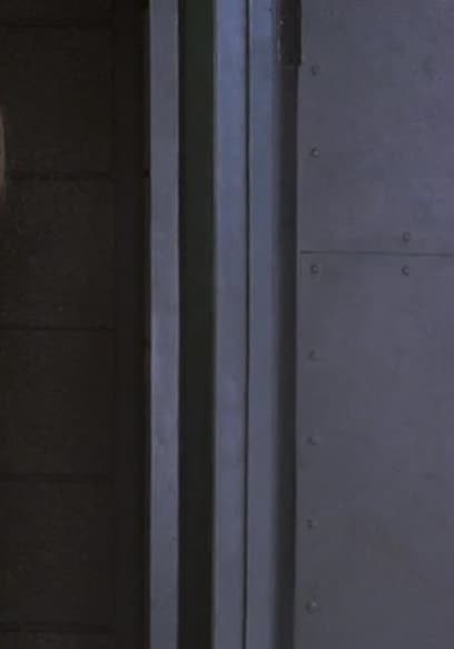 Watch La Femme Nikita S03:E20 - Three Eyed Turtle - Free TV Shows | Tubi