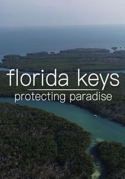 Florida Keys: Protecting Paradise