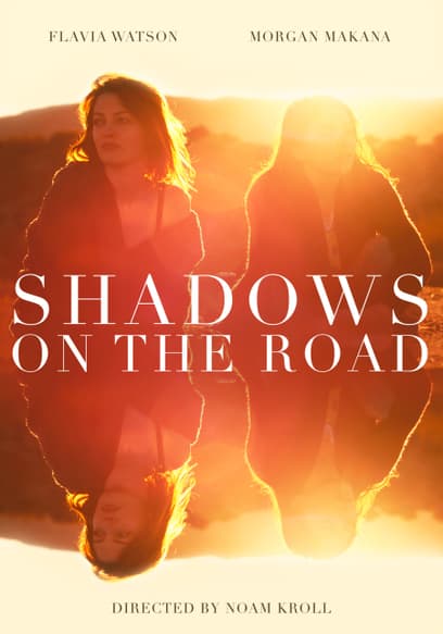 Shadows on the Road