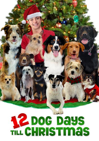 12 Dog Days Till Christmas