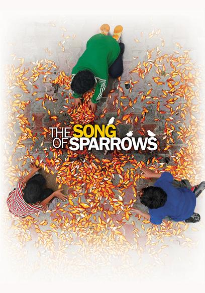 The Song of Sparrows