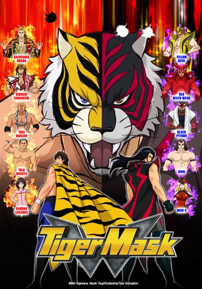 S01:E38 - Masked Tiger Springer