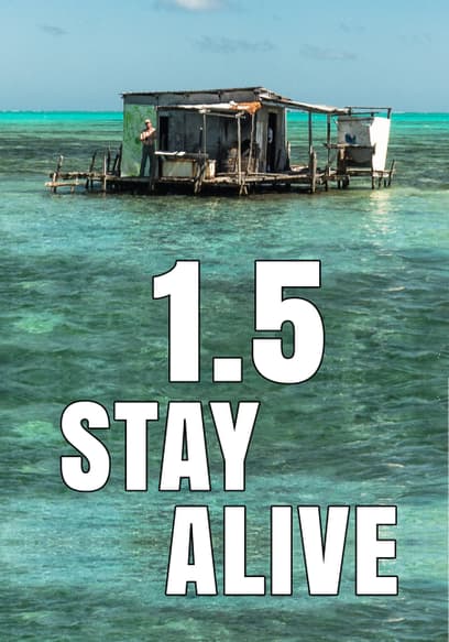1.5 Stay Alive